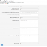 Theme Options in Kamaleon Theme
