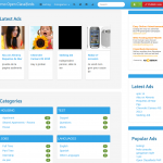 Default Theme Homepage