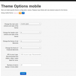 Theme Options mobile