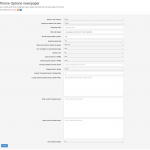 Theme options